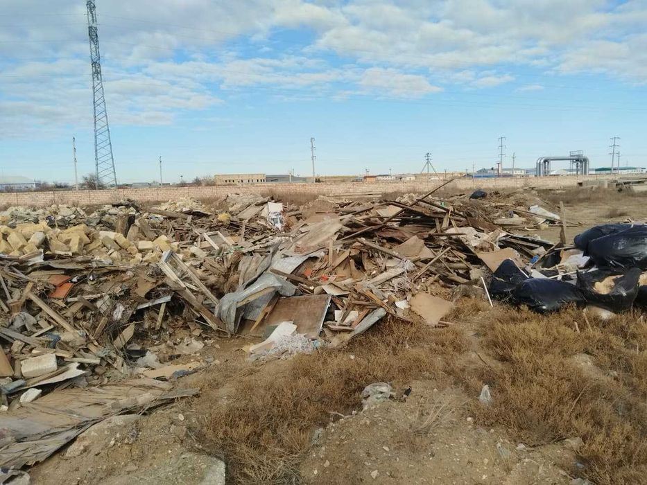 дрова (сухостой)