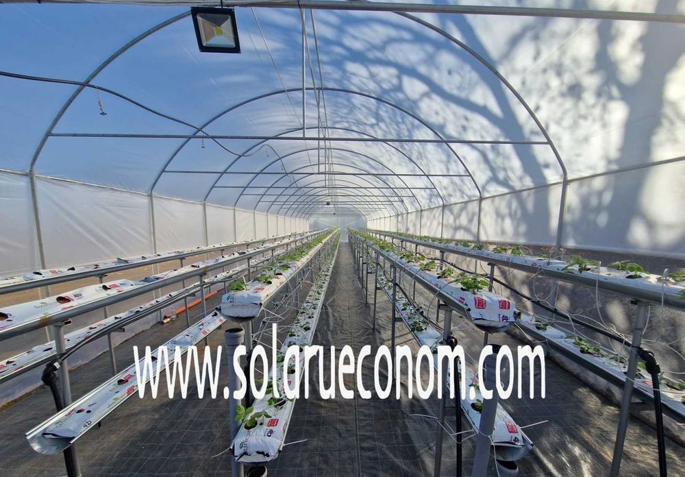 Solarii (sere) modulare din țeava zincată