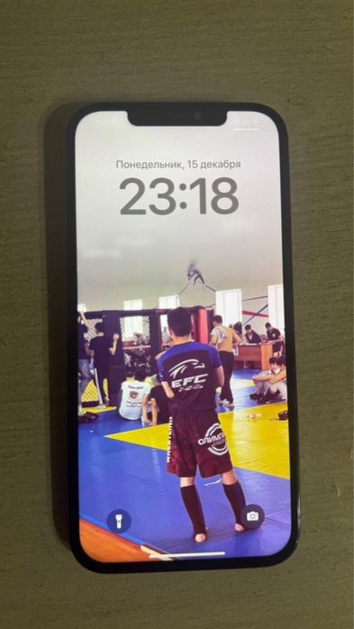 Айфон 12 про макс