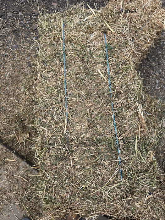 Baloti mici de lucerna