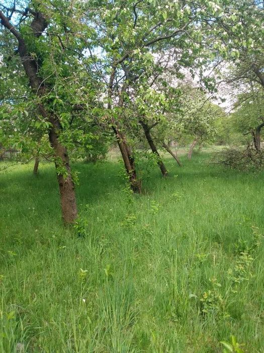 case de vanzare arges