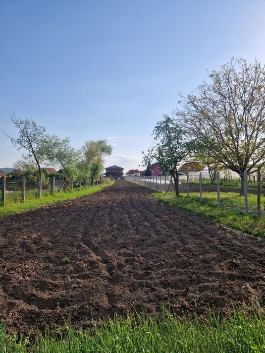 Casă de vânzare cu teren la Miercurea Nirajului