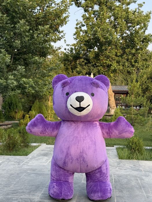 Аниматоры и мишки на ваш праздник!!