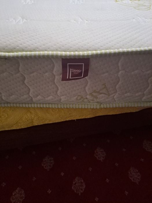 Масивно легло чам