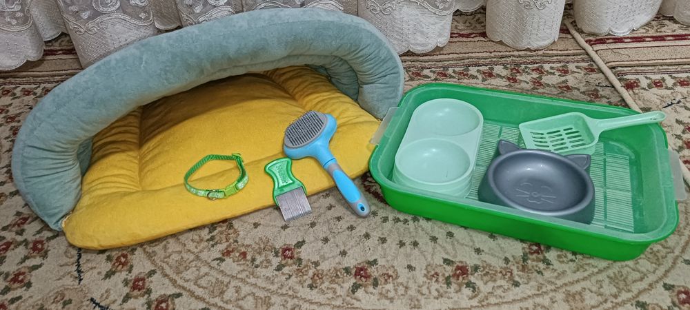Посуды для кошки: 2 Миски, латок+лопатка, лежанка, расческа, ошейник