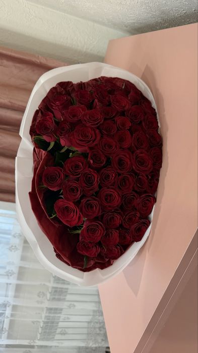 51 роза. Очень свежие