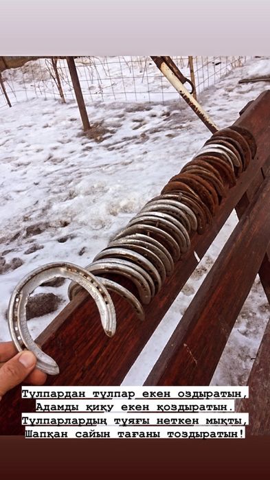 Подкова тағашы коваль