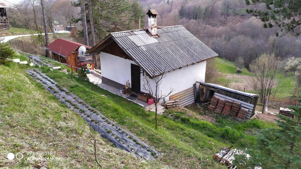 Уютна вила в сърцето на Родопите