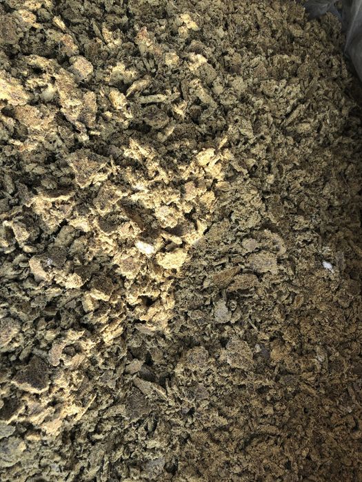 Yem Kunjara optom narxda