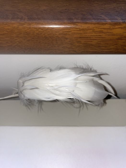 Бяла диадема