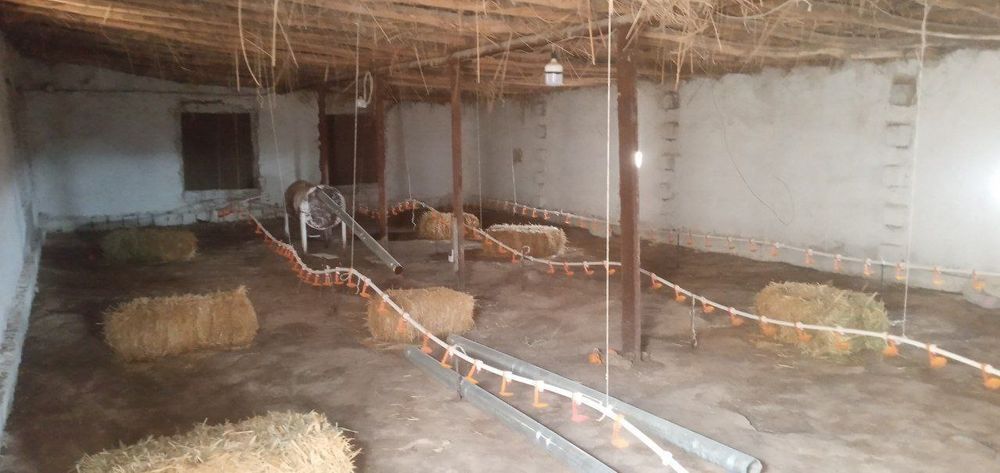 1-Гектар ерда булган 5000талик товукхона ва тайор бизнеслар сотувда