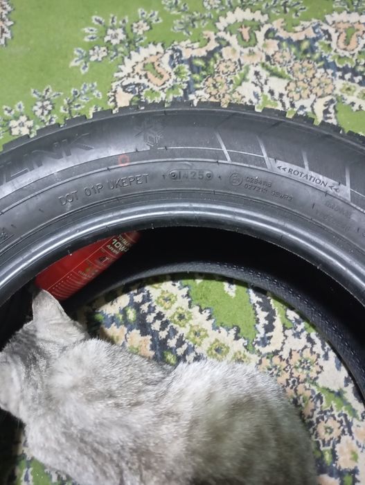 "TRIANGLE" Қысқы шина. Дөңгелек