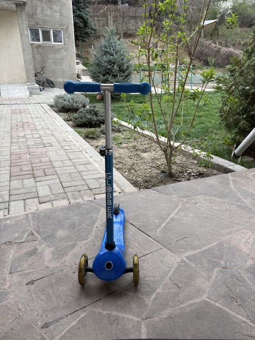 Самокат Globber