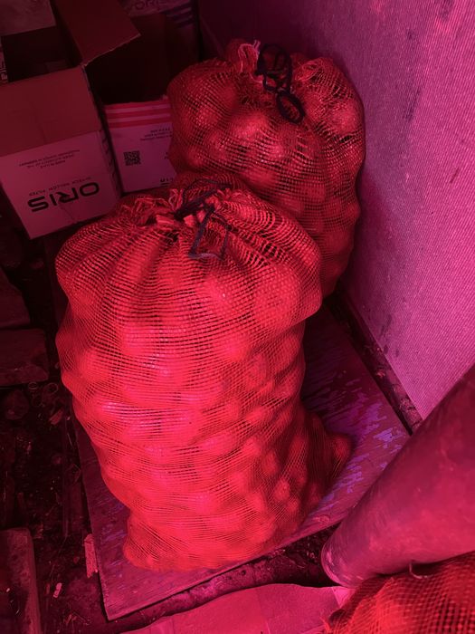 Продам картофель в мешках !!!
