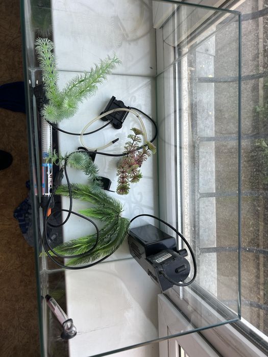 Аквариум для рыбы