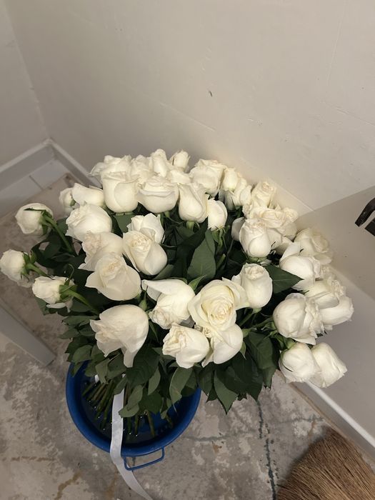 Гул сатылады арзан