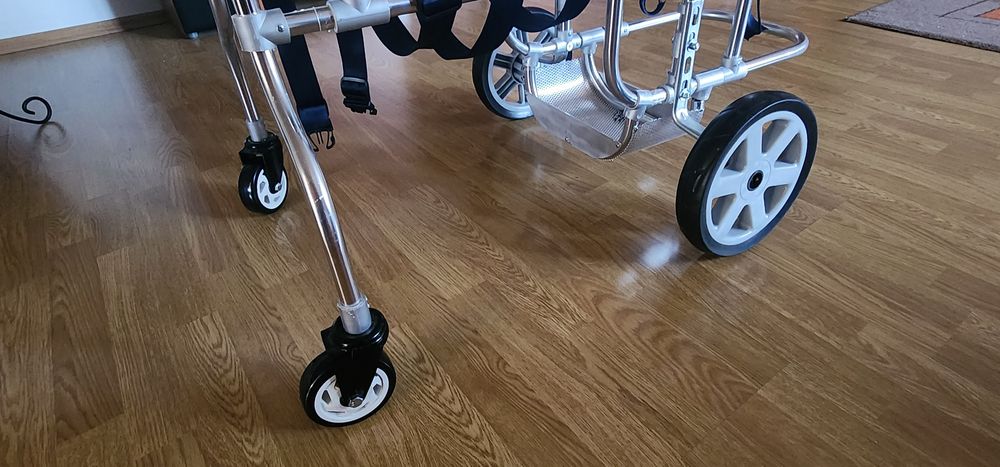 Cărucior ortopedic pentru câini de talie medie labrador, retriever...