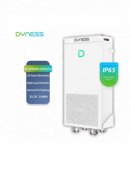 Acumulator Dyness PowerBrick Plus 16.07kWh LiFePO4 51.2V, 314Ah  LiFePo4 baterie