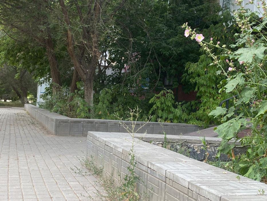 Услуги профессионального массажиста в Актобе