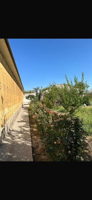 Үй, 5 квартира, вермянка