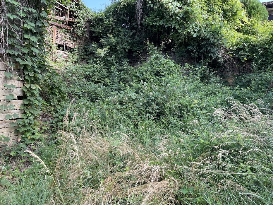 Косене, чистене, извозване, изграждане, поддръжка на дворове и градини