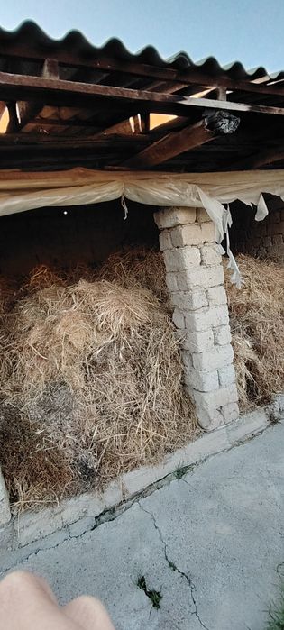 Hashe sotiladi kelishtirib bervoramiz