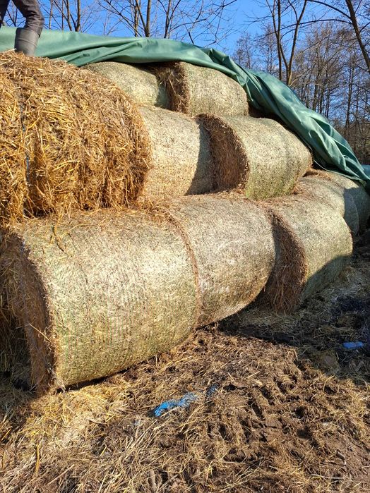 Baloți de paie rotunzi înveliți cu plasă