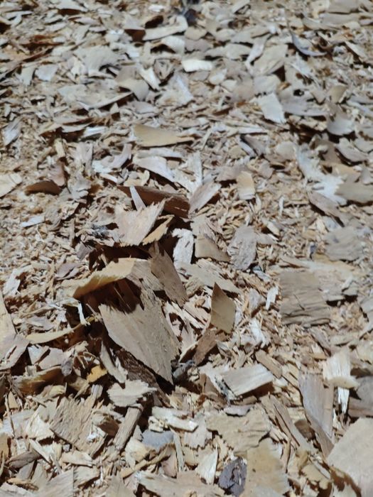 Продаются берёзовые стружки