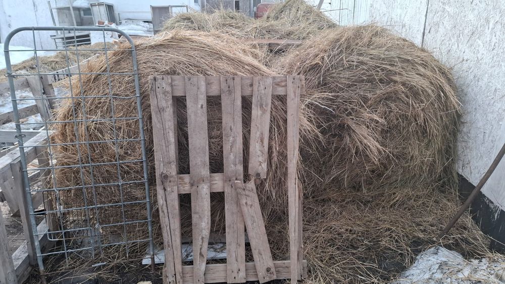 Сено рулон разнотравие