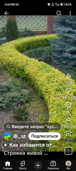Все садовые работы