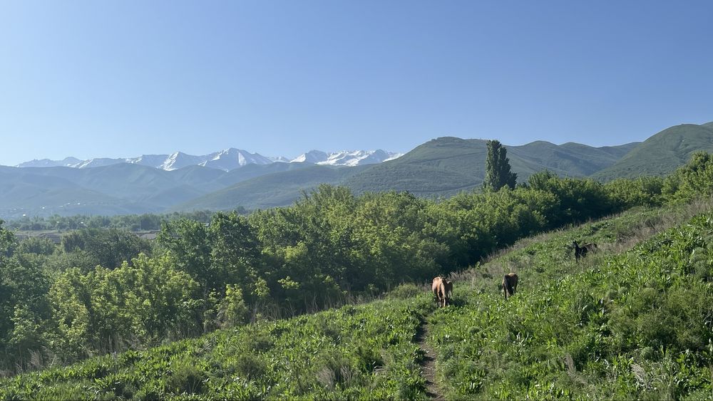 Отдых на природе