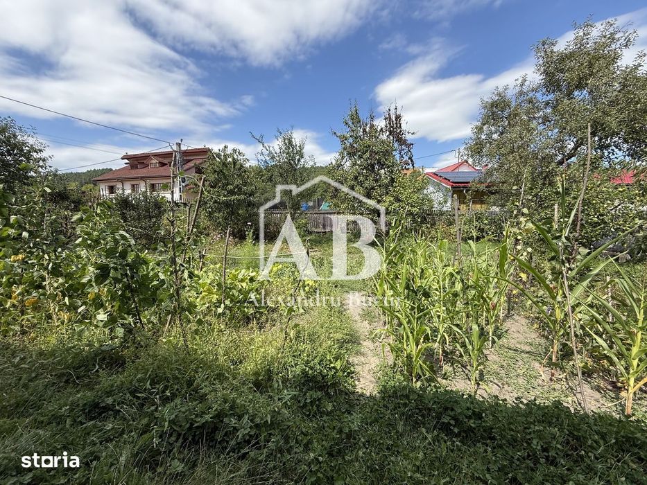 Casă de vânzare - Dărmănești - Teren 860mp - Pomi fructiferi