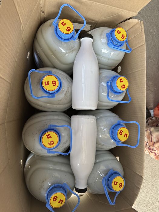 Нағыз қымыз шұбат оптом