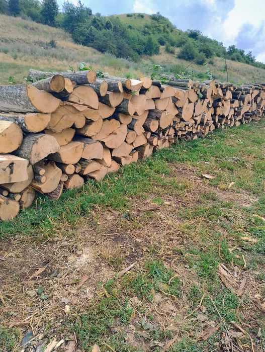 Lemne de foc esenta tare carpen cu stejar