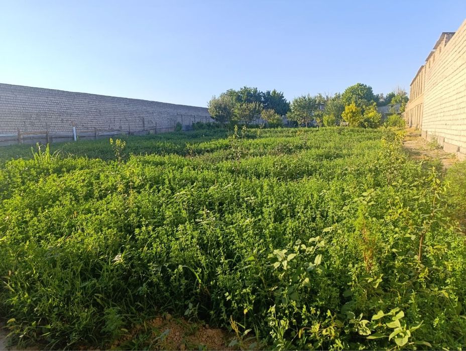 Nazarbekda yer sotiladi