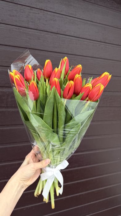 Тюльпаны по закупу