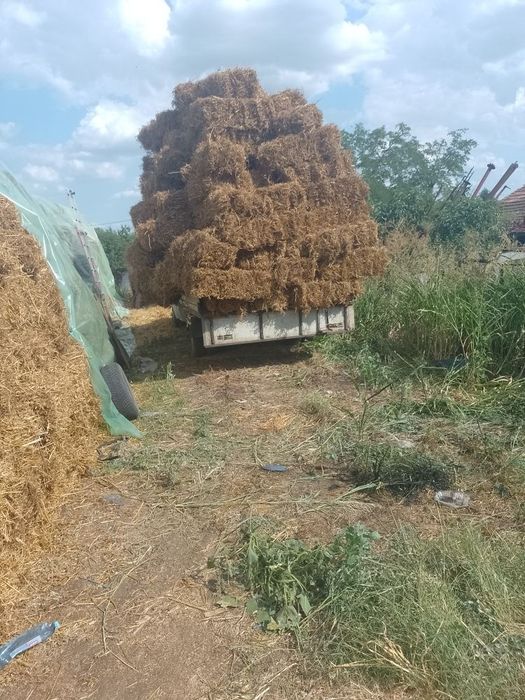 Baloti de Lucernā mazare si fin amestec Lucernanā