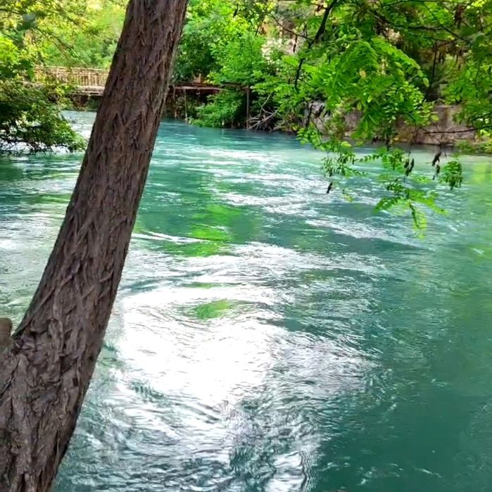 Срочно арзонга 15сотих сув буйида ховли