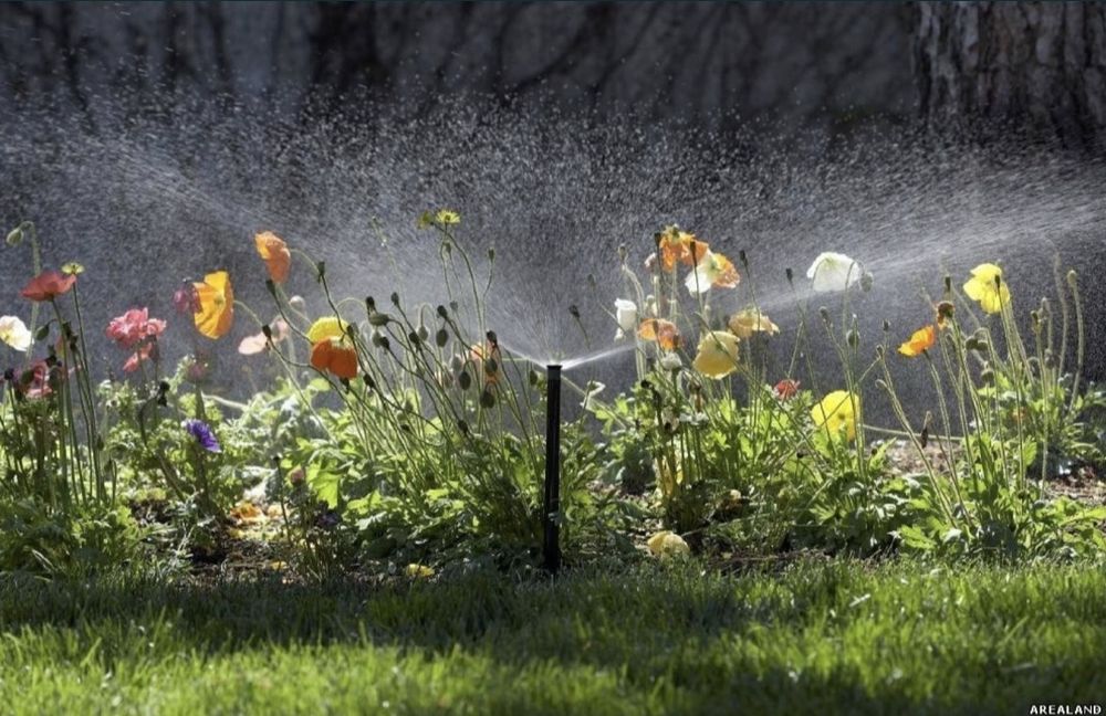 Газон и  автополив