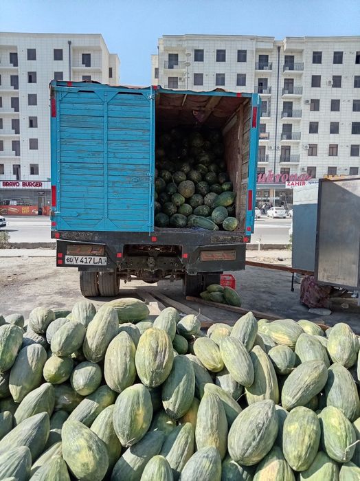 Зил Бичок сотилади 1993