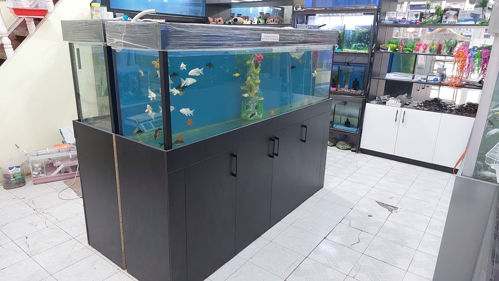 Аквариумы для офисов и дома.