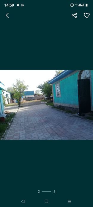 Уй сатамын орталыкта уй сатамын