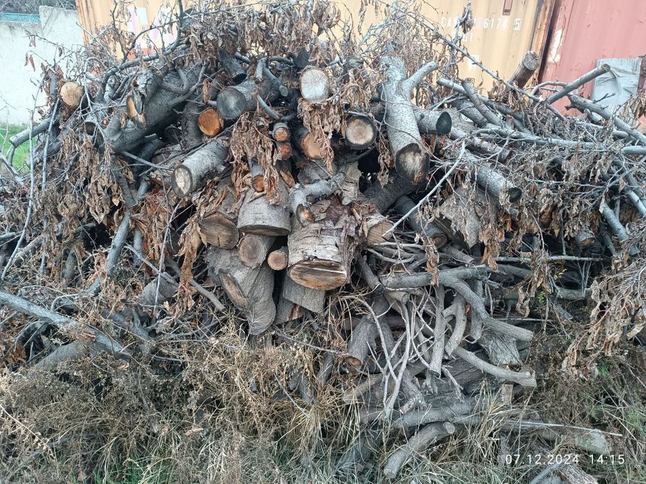 Утин (Дрова, Oʻtin) сотамиз, мевали дарахтларники.