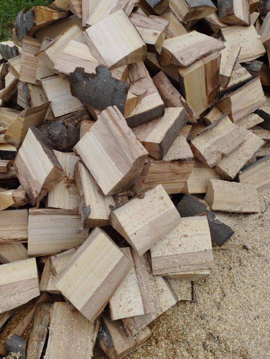 Lemne de foc fag capete uscate sau verzi 600.lei tona