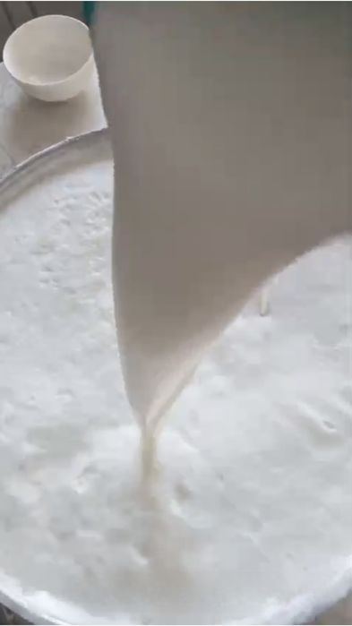 Шұбат сатылады (түйе сүтінен жасалған)