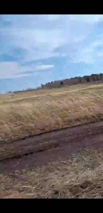 Участок 20 соток