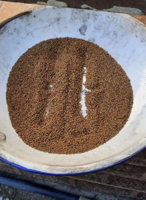 Беда уруги сотилади, экспрацет нави