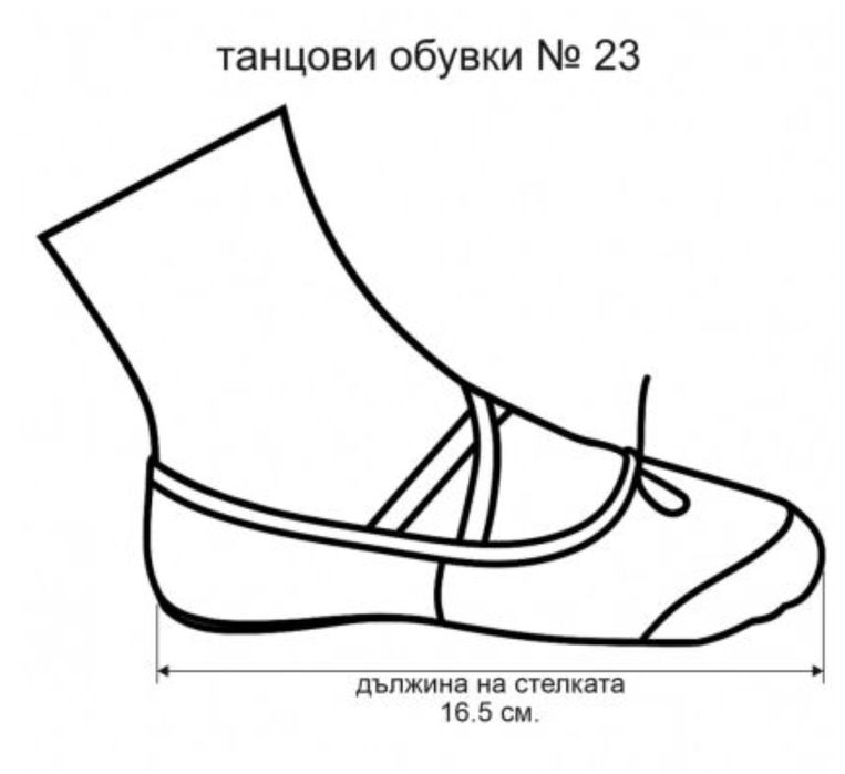 Танцови обувки (меки туфли) цвички