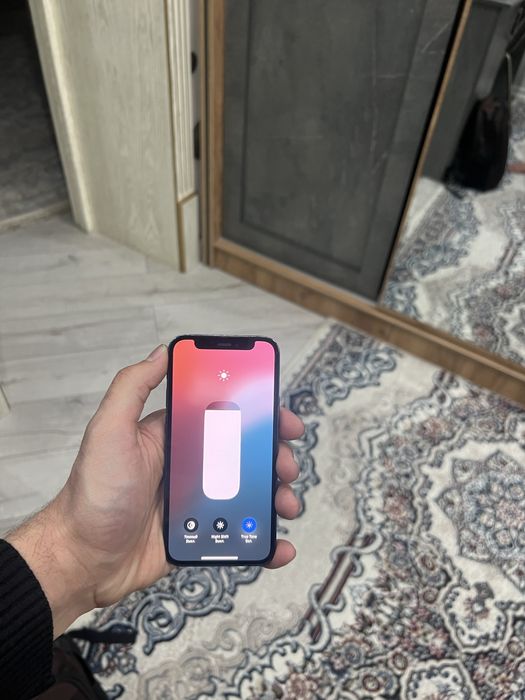 Iphone 12 mini ideal