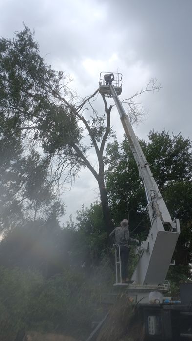 Спил деревьев любой сложности!